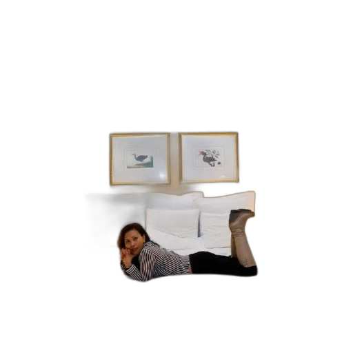 furniture, shoes, staff, creature transparent PNG cut-out