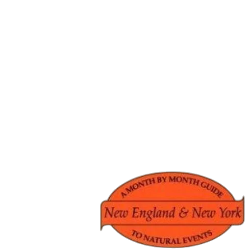 staff, cover, natural, year transparent PNG cut-out