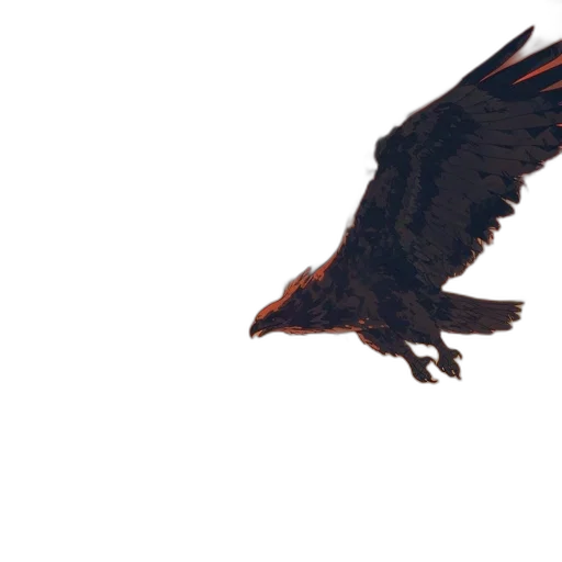 animal, creature, dragon, jacket transparent PNG cut-out