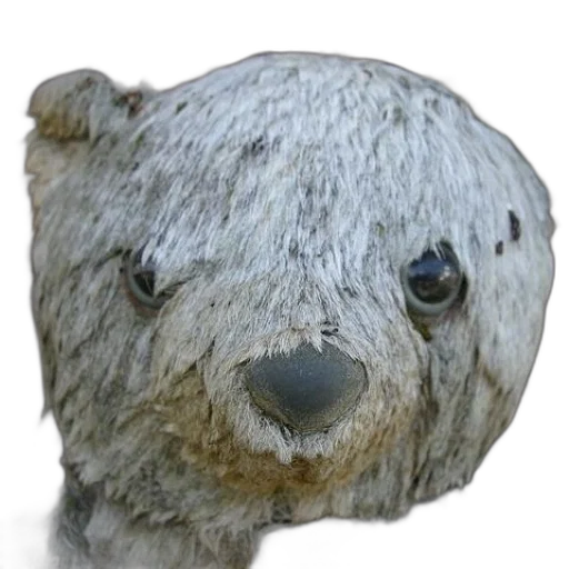 animal, creature, face, mask transparent PNG cut-out
