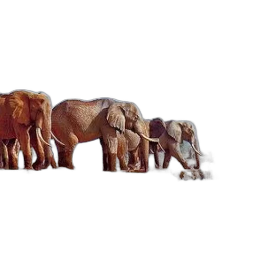 animal, concept art, photorealistic, 3d render transparent PNG cut-out