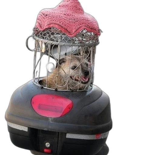 hat, animal, robot, face transparent PNG cut-out