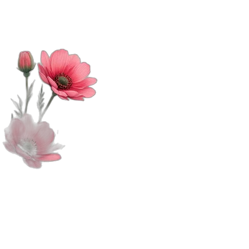 flower, crown, weapon, jewelry transparent PNG cut-out