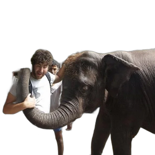animal, creature, staff, concept art transparent PNG cut-out