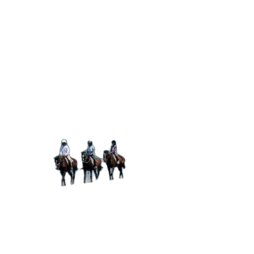 animal, sword, weapon, staff transparent PNG cut-out
