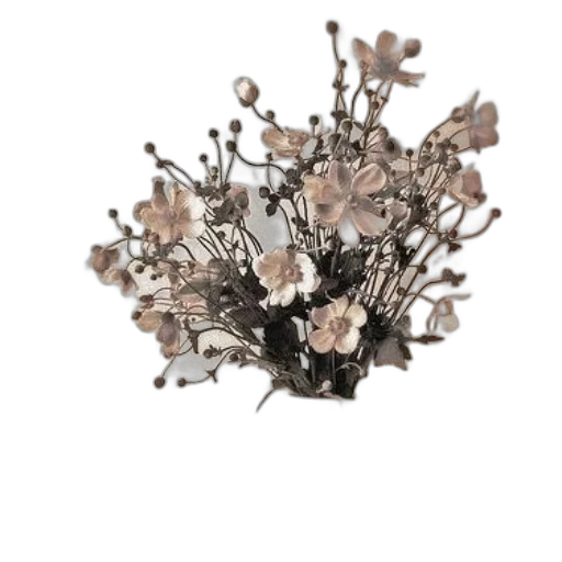 crown, jewelry, flower, hat transparent PNG cut-out