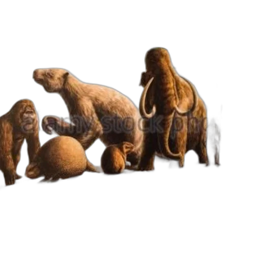 animal, 3d render, concept art, photorealistic transparent PNG cut-out