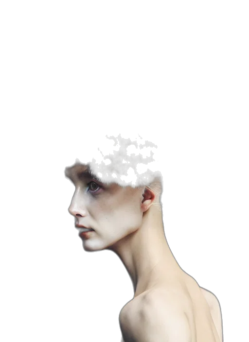 crown, hair, face, hat transparent PNG cut-out