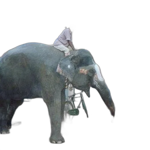 animal, hat, creature, umbrella transparent PNG cut-out