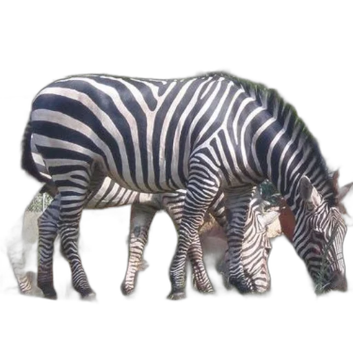animal, creature, weapon, robot transparent PNG cut-out