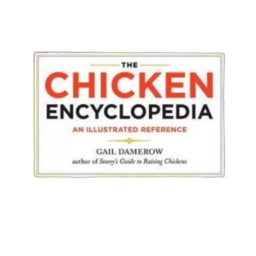 food, chicken, encyclopedia, illustrated transparent PNG cut-out