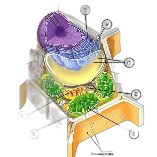 jewelry, crown, food, robot transparent PNG cut-out
