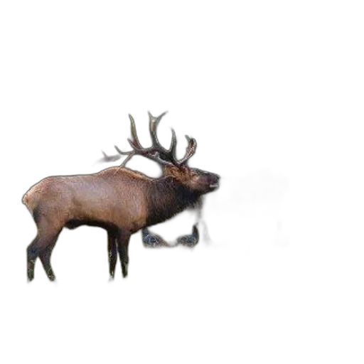 animal, creature, crown, weapon transparent PNG cut-out