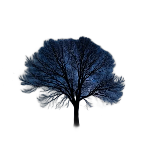 tree, hair, crown, hat transparent PNG cut-out
