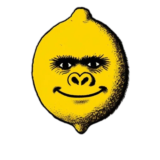 face, mask, animal, creature transparent PNG cut-out