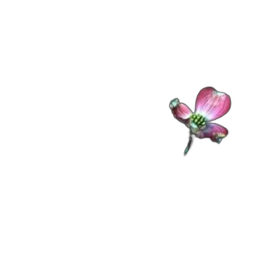 flower, weapon, jewelry, staff transparent PNG cut-out