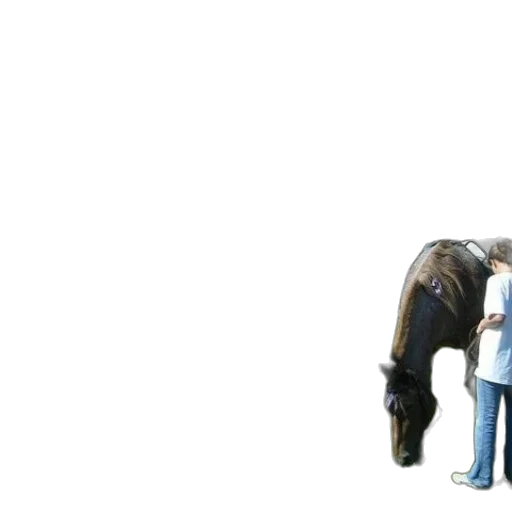 staff, animal, concept art, photorealistic transparent PNG cut-out