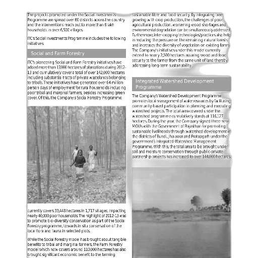 forest, document, highlighting, various transparent PNG cut-out