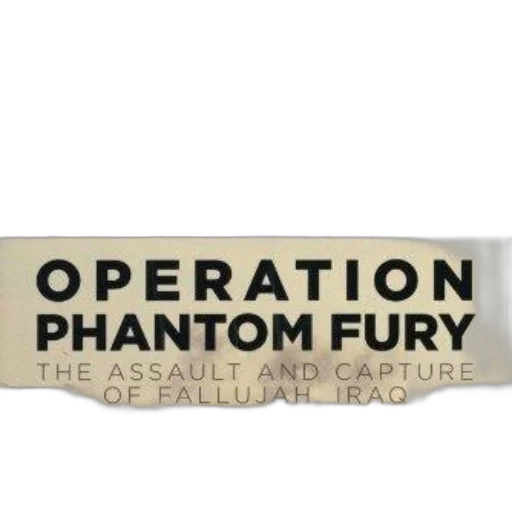 weapon, staff, cover, operation transparent PNG cut-out