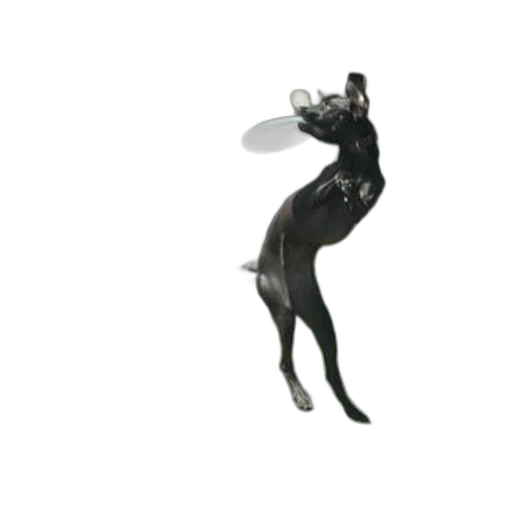 animal, creature, staff, dress transparent PNG cut-out