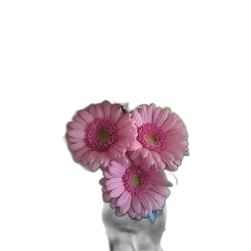 flower, jewelry, crown, bottle transparent PNG cut-out