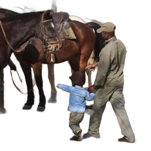animal, staff, hat, weapon transparent PNG cut-out