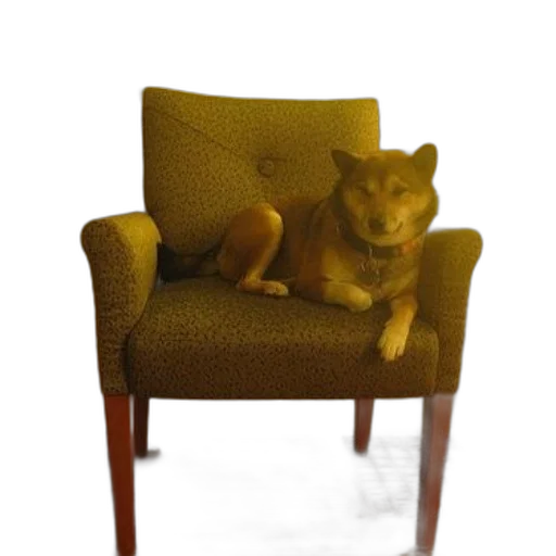 furniture, animal, staff, creature transparent PNG cut-out