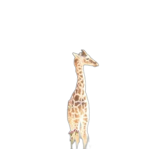 animal, creature, staff, dress transparent PNG cut-out