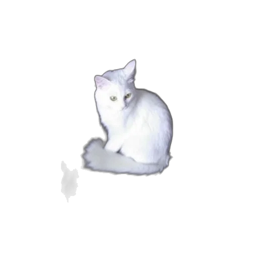 animal, creature, staff, dragon transparent PNG cut-out