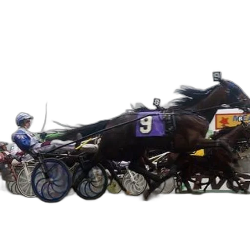 horse, race, jockey, blue transparent PNG cut-out