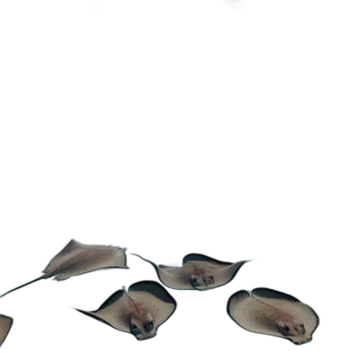 umbrella, hat, shoes, staff transparent PNG cut-out