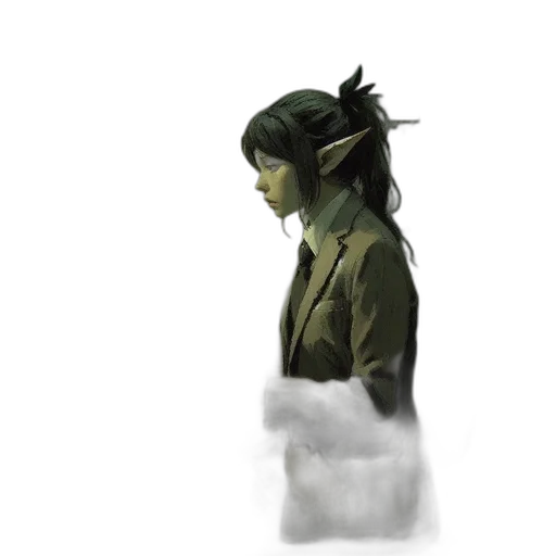 dragon, jacket, staff, hat transparent PNG cut-out