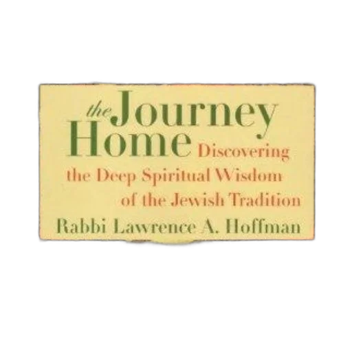 journey, home, discovering, deep transparent PNG cut-out