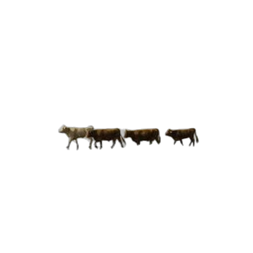 animal, furniture, food, jewelry transparent PNG cut-out