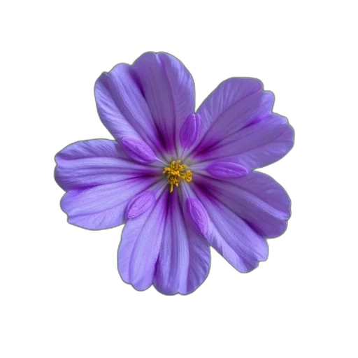 flower, crown, jewelry, staff transparent PNG cut-out