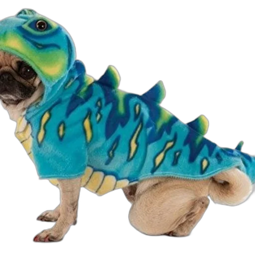 creature, dragon, animal, jacket transparent PNG cut-out
