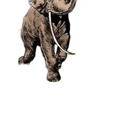 animal, staff, creature, weapon transparent PNG cut-out