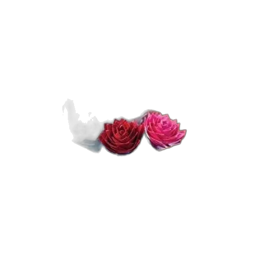 jewelry, flower, crown, hat transparent PNG cut-out