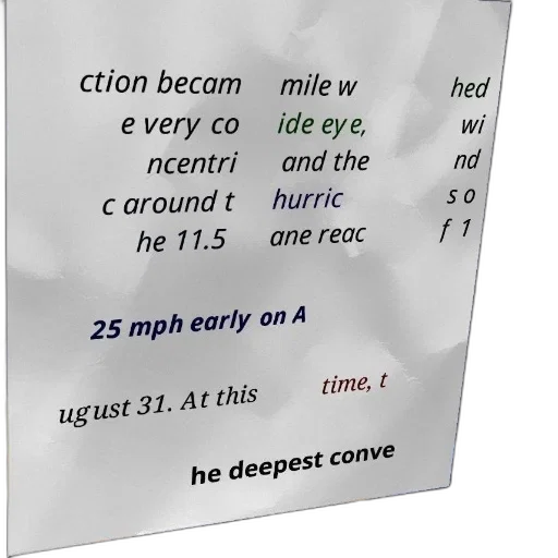 crown, tree, weather, report transparent PNG cut-out