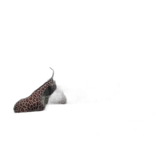 shoes, hat, hair, animal transparent PNG cut-out