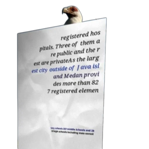 poster, text, about, registered transparent PNG cut-out
