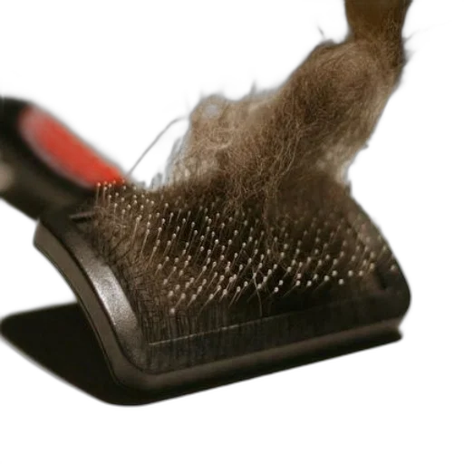 shoes, hair, hat, staff transparent PNG cut-out