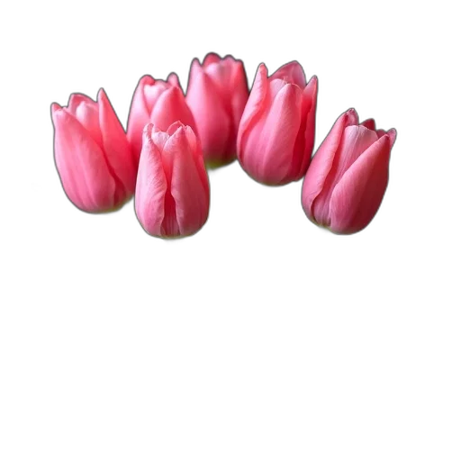 flower, crown, jewelry, food transparent PNG cut-out