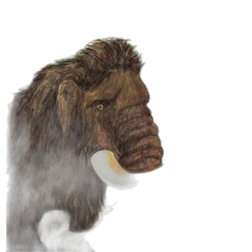 animal, creature, face, mask transparent PNG cut-out