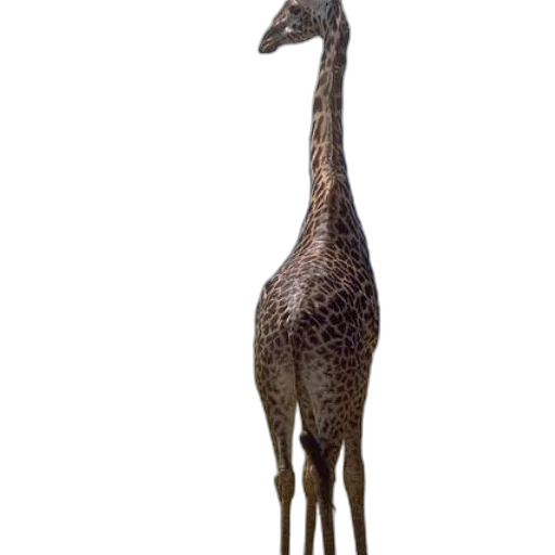 animal, creature, staff, dragon transparent PNG cut-out