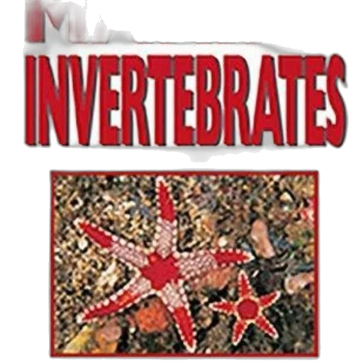 underwater, book, cover, title transparent PNG cut-out