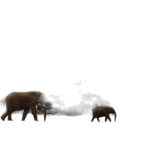 animal, creature, weapon, dragon transparent PNG cut-out