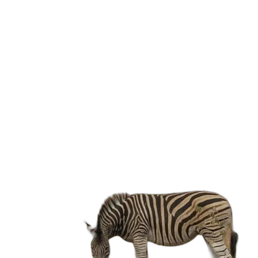 animal, creature, weapon, furniture transparent PNG cut-out