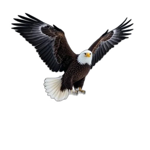 animal, staff, creature, jacket transparent PNG cut-out