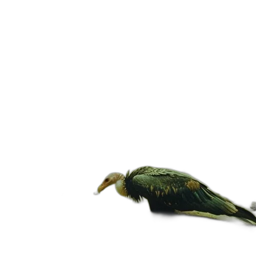 animal, creature, staff, dragon transparent PNG cut-out
